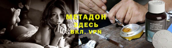 крисы Новозыбков