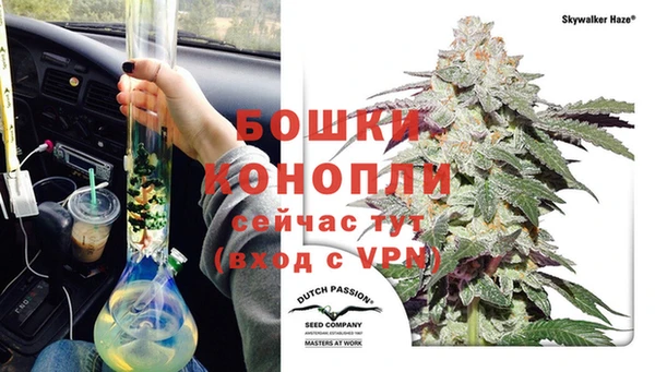 гидропоника Новодвинск