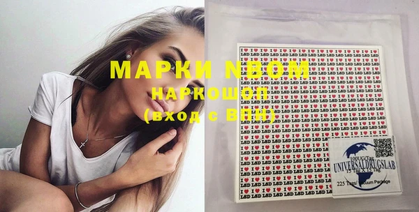 крисы Новозыбков