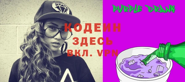 крисы Новозыбков