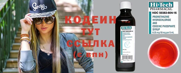 крисы Новозыбков