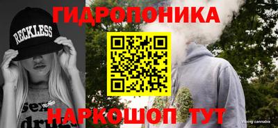 соль ск Гатчина