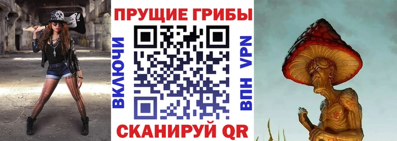 купить   мега зеркало  Галлюциногенные грибы мицелий  Качканар 