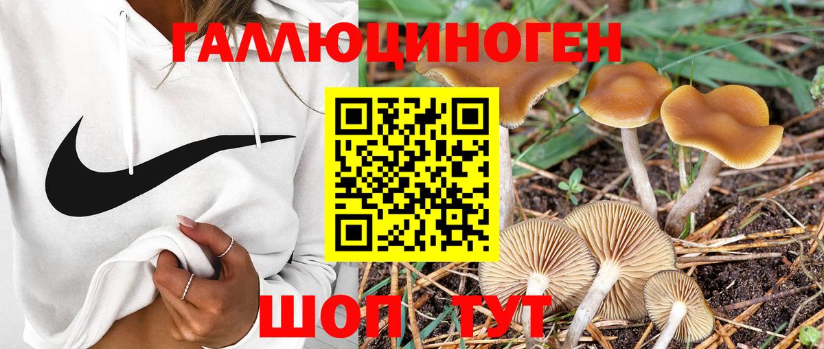 Качканар  Галлюциногенные грибы мухоморы  Галлюциногенные грибы Psilocybine cubensis  Вход с VPN 
